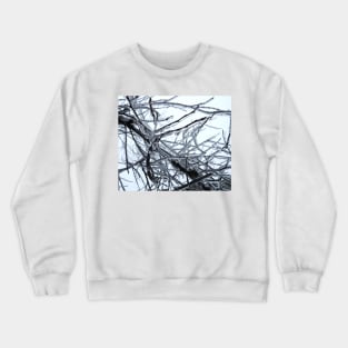 Frozen Branches - Freezing Rain in the Spring Crewneck Sweatshirt